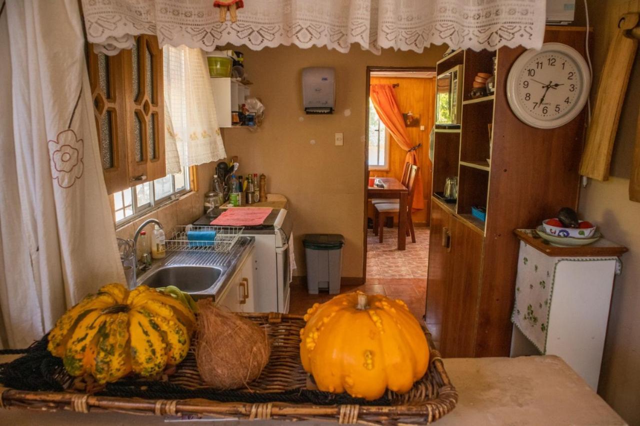 Ferienwohnung La Huerta Vicuña Exterior foto